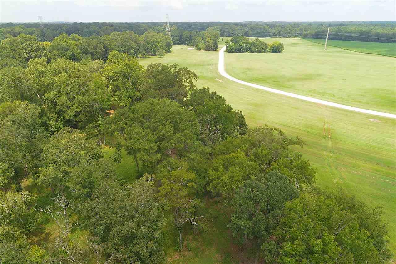 16 Jimmy Phillips Road Greensboro, AL 36744 - Photo 28 of 35 Gallery Image 28