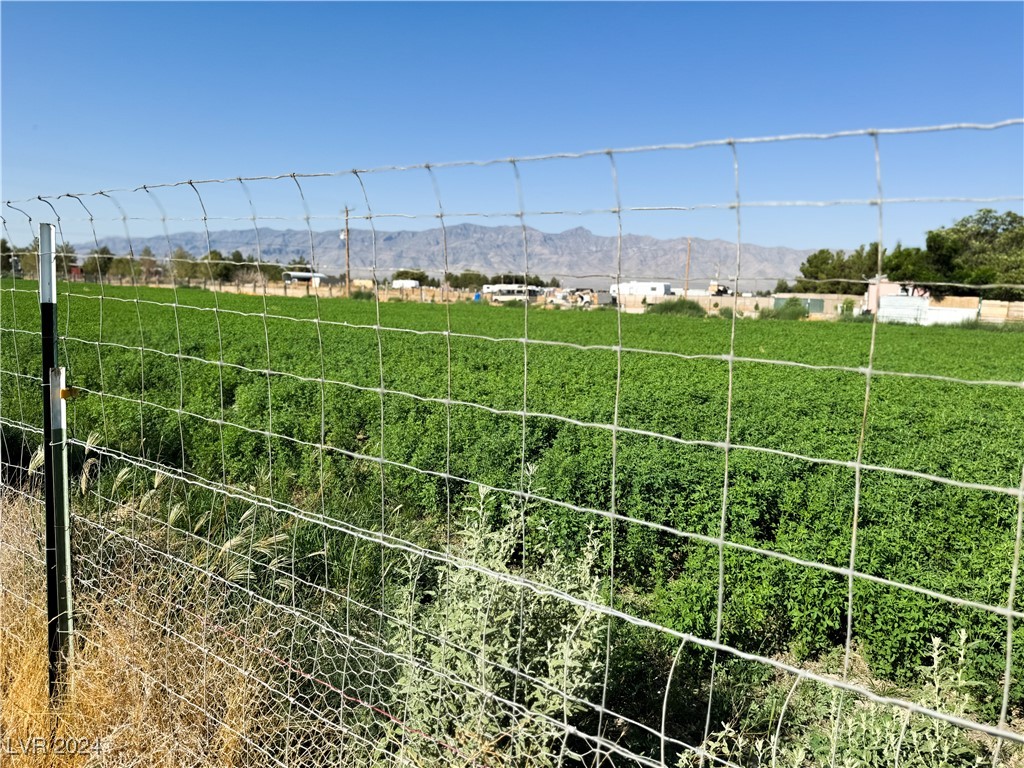 3301 Bond Street Pahrump, NV 89061 - Photo 25 of 28