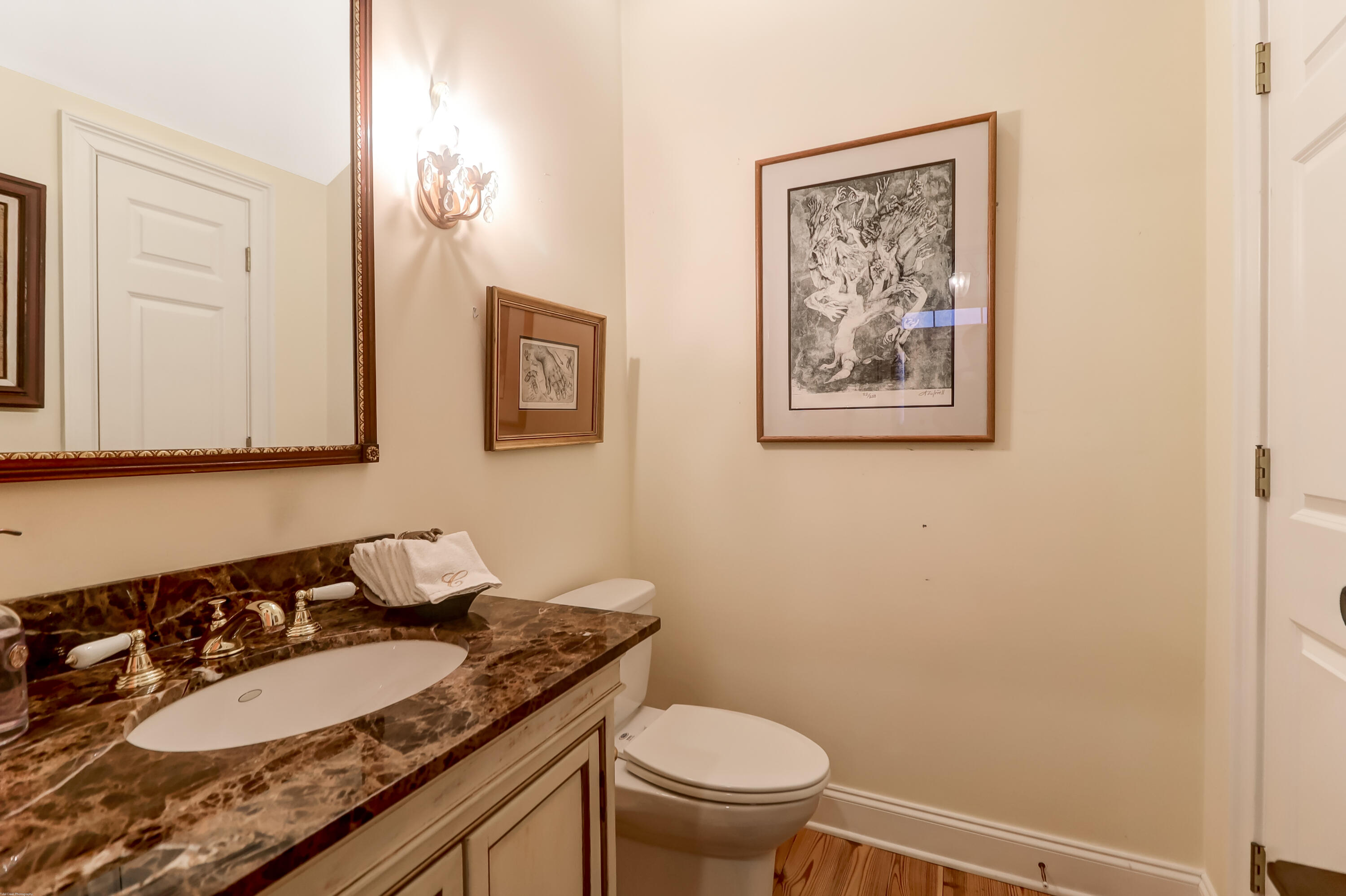 119 Civitas Street Mount Pleasant, SC 29464 - Photo 17 of 46 119 Civitas -Powder Room