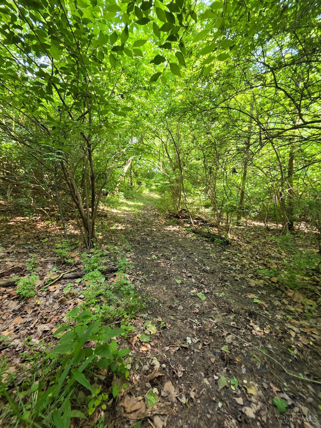 0 Fagins Run Road New Richmond, OH 45157 - Photo 11 of 28