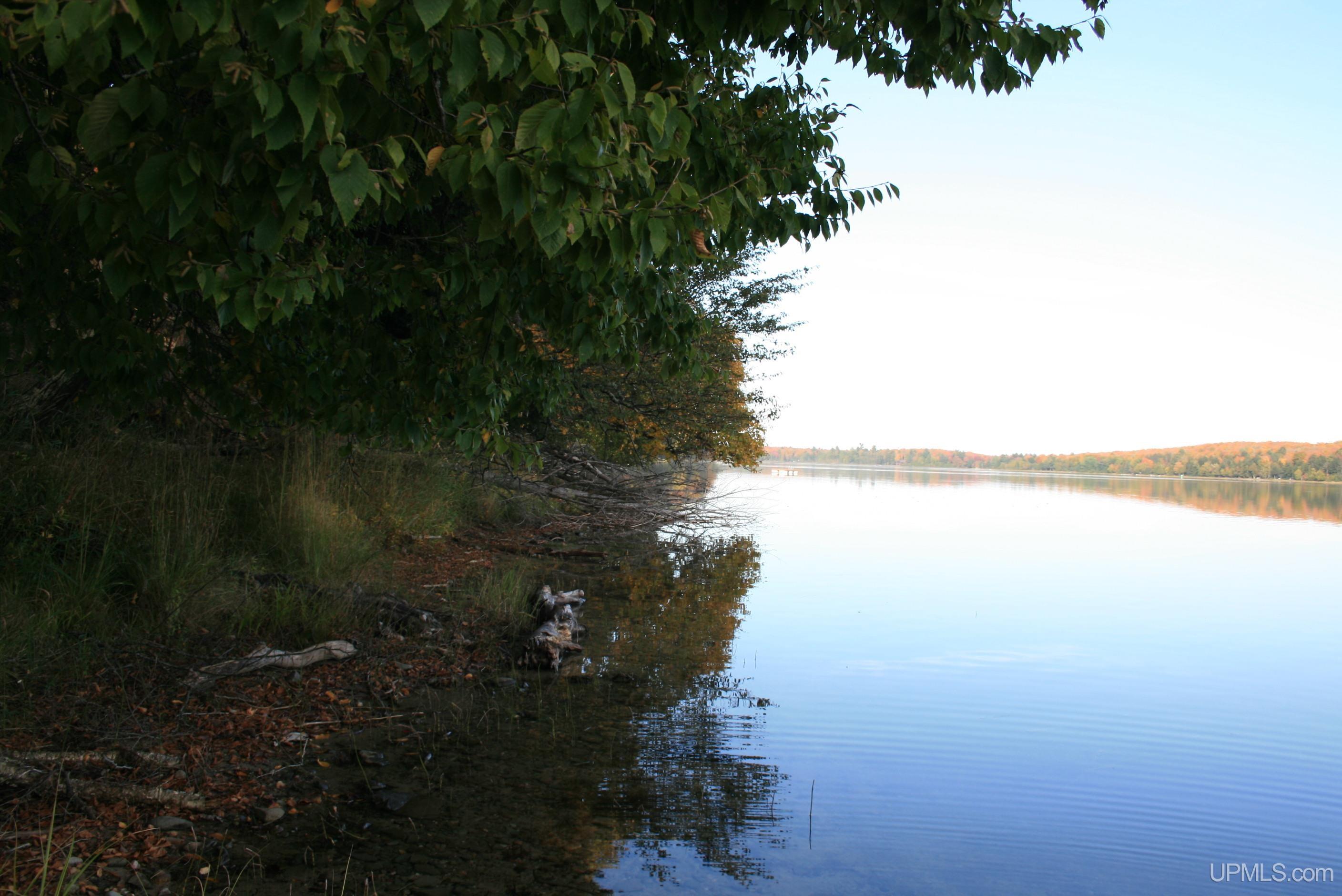 Tbd University Road Iron River, MI 49935 - Photo 4 of 12