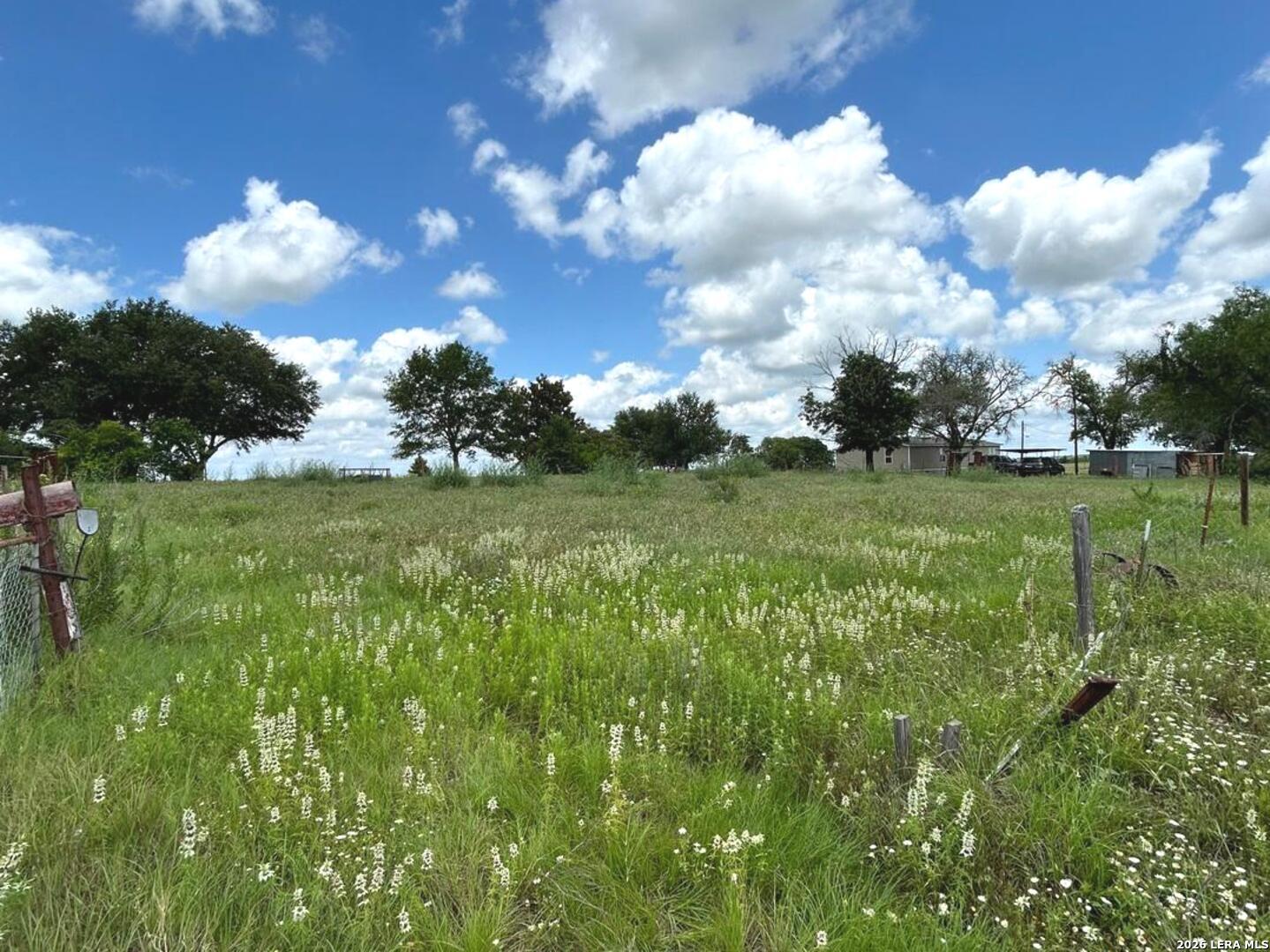 1460 Sandy Elm Road La Vernia, TX 78121 - Photo 2 of 25