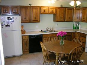 225 Willow Lane Springfield, IL 62707 - Photo 4 of 9