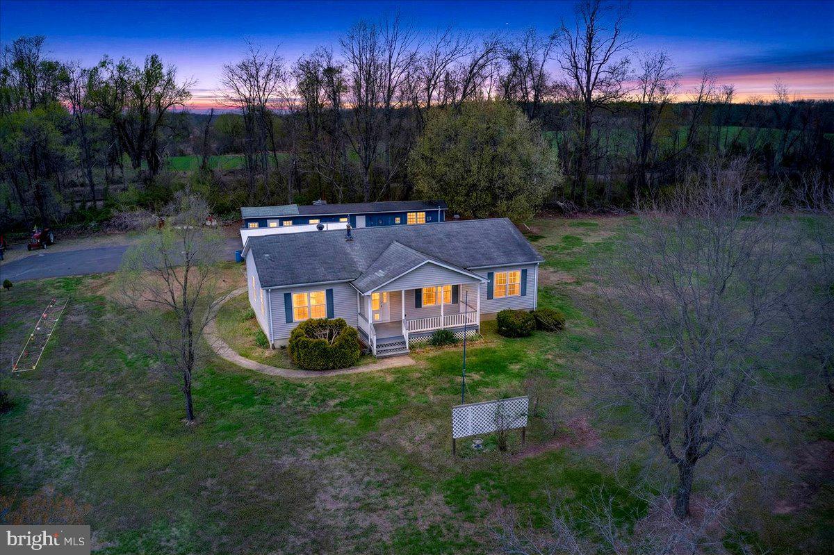 a view of a big yard with potted plants and large trees