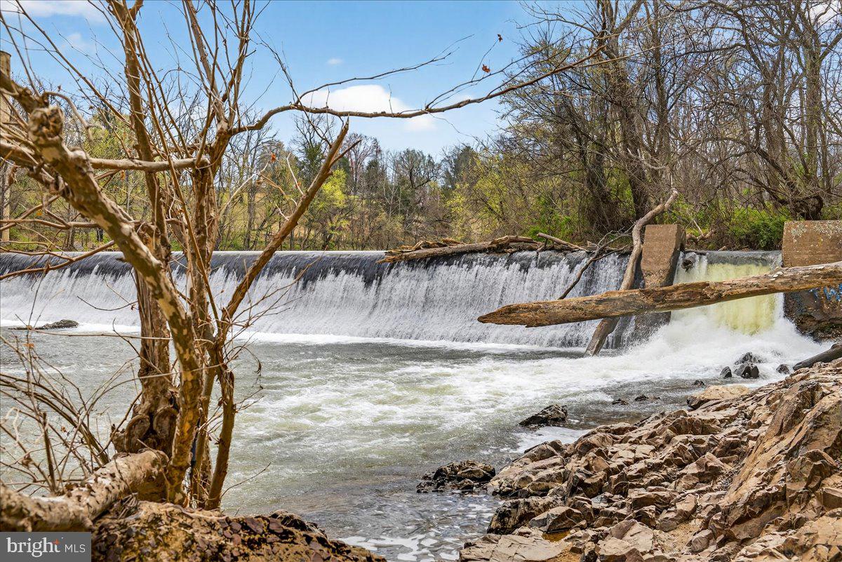 28042 Rapidan Road Rapidan, VA 22733 - Photo 69 of 72 a view of a yard with a tree