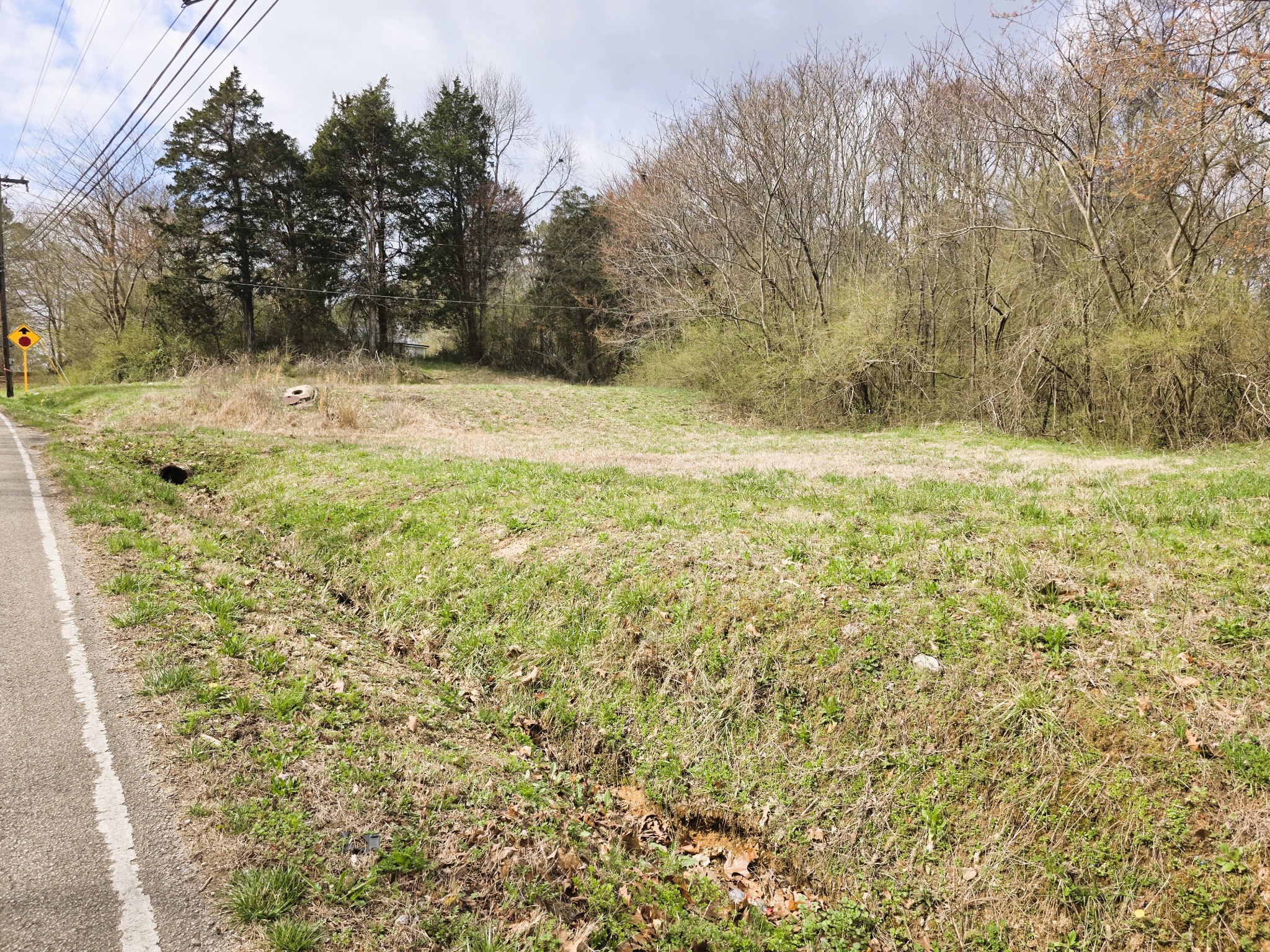241 Stigall Street Camden, TN 38320 - Photo 3 of 10 a view of a yard with large trees