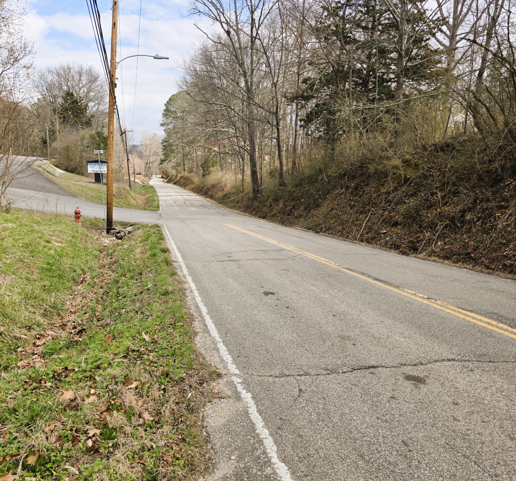 241 Stigall Street Camden, TN 38320 - Photo 5 of 10 a view of a yard with plants and trees