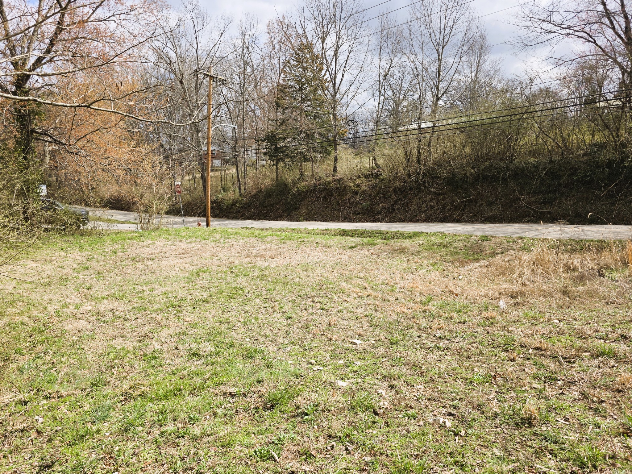 241 Stigall Street Camden, TN 38320 - Photo 7 of 10 a view of a yard