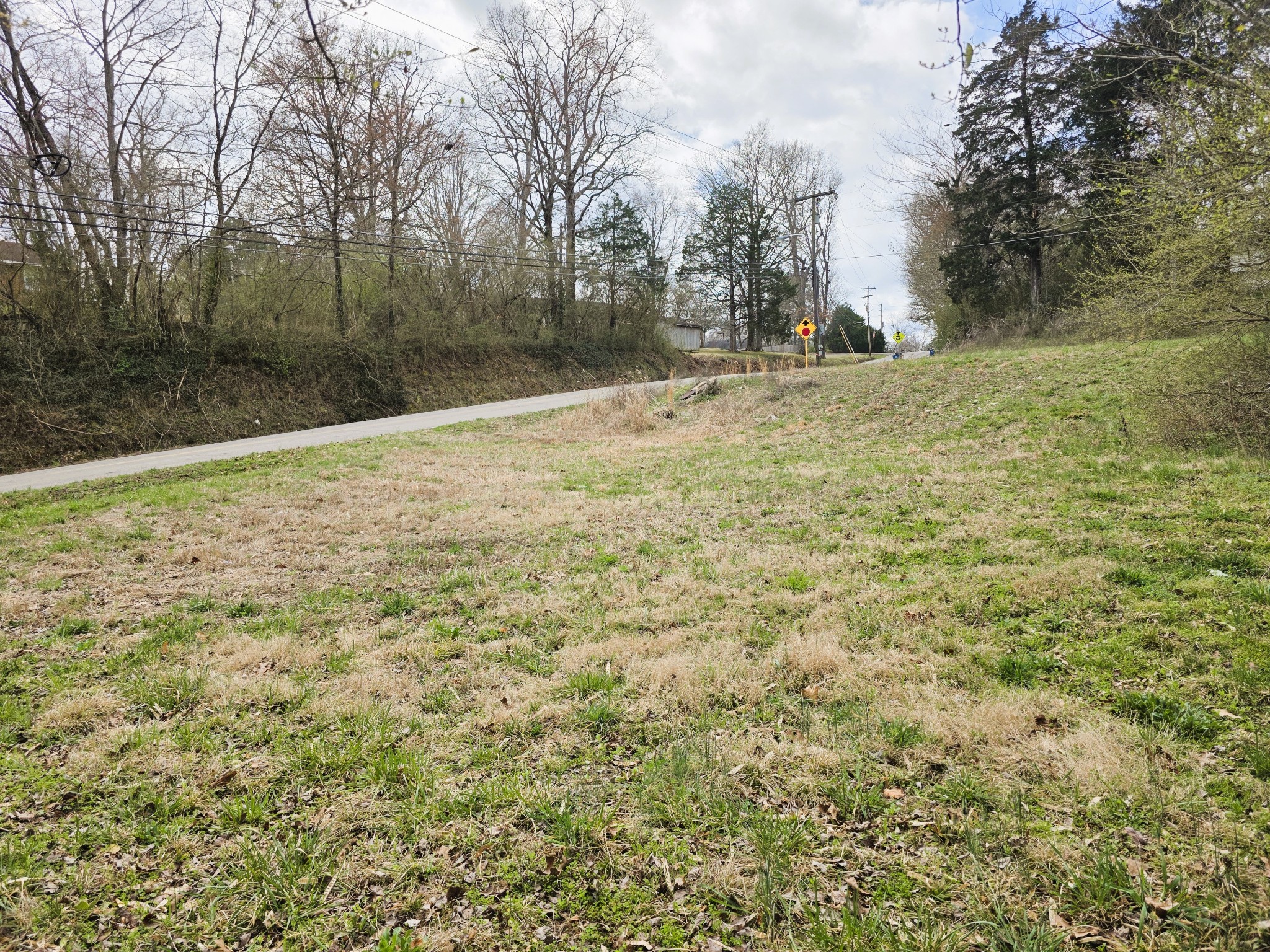 241 Stigall Street Camden, TN 38320 - Photo 8 of 10 a view of a yard with trees