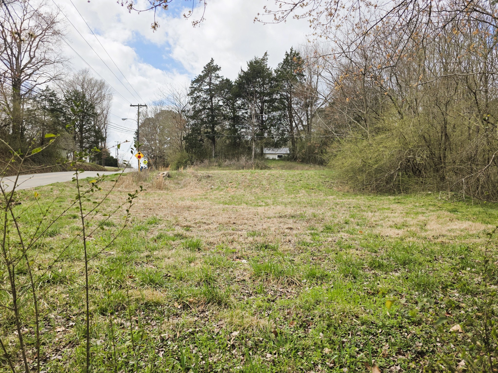 241 Stigall Street Camden, TN 38320 - Photo 9 of 10 a view of a yard with an trees