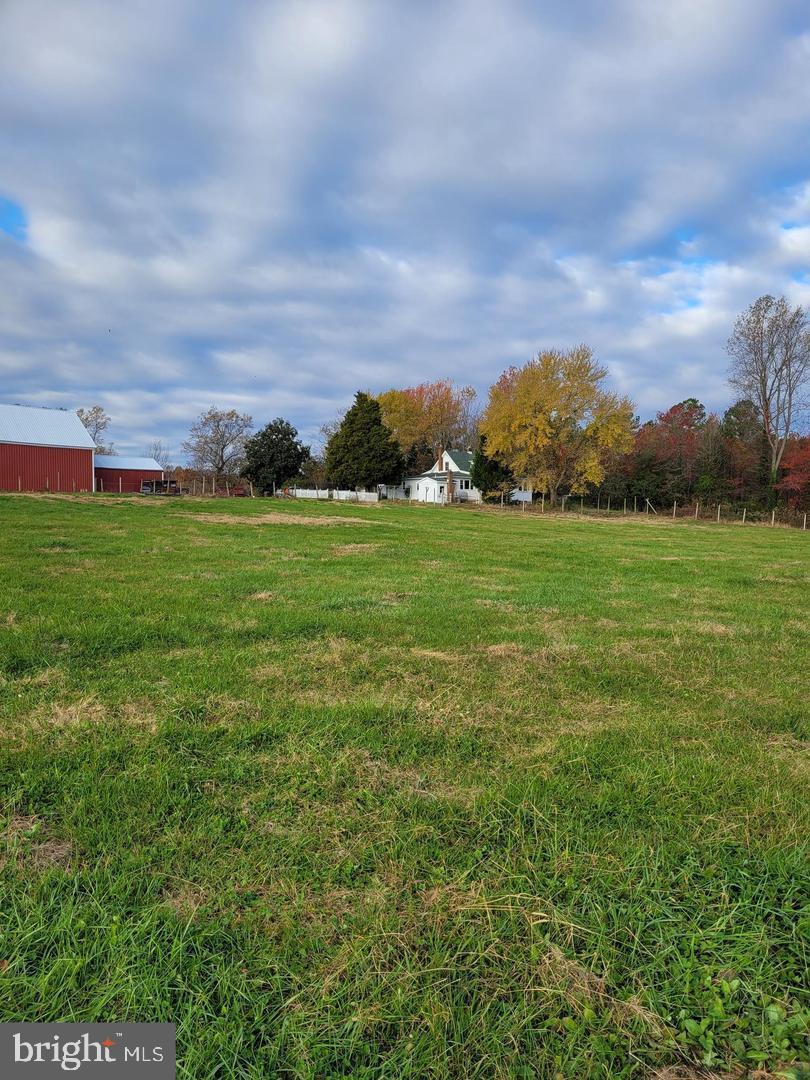 a view of a big yard with a large mountain