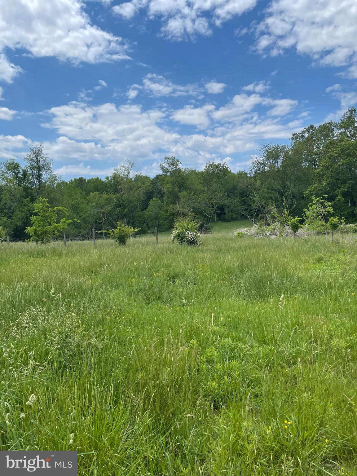 38888 Reeves Road Mechanicsville, MD 20659 - Photo 2 of 50 a view of an outdoor space and a yard