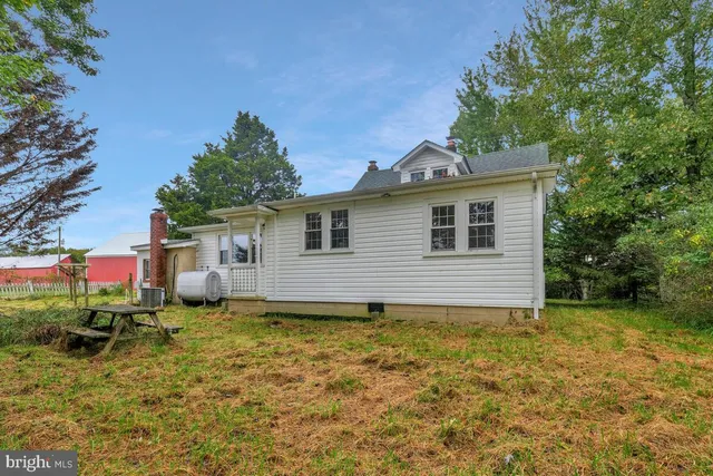 a view of a yard with trees in the background