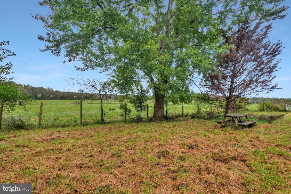 38888 Reeves Road Mechanicsville, MD 20659 - Photo 10 of 50 a view of a yard with trees in the background