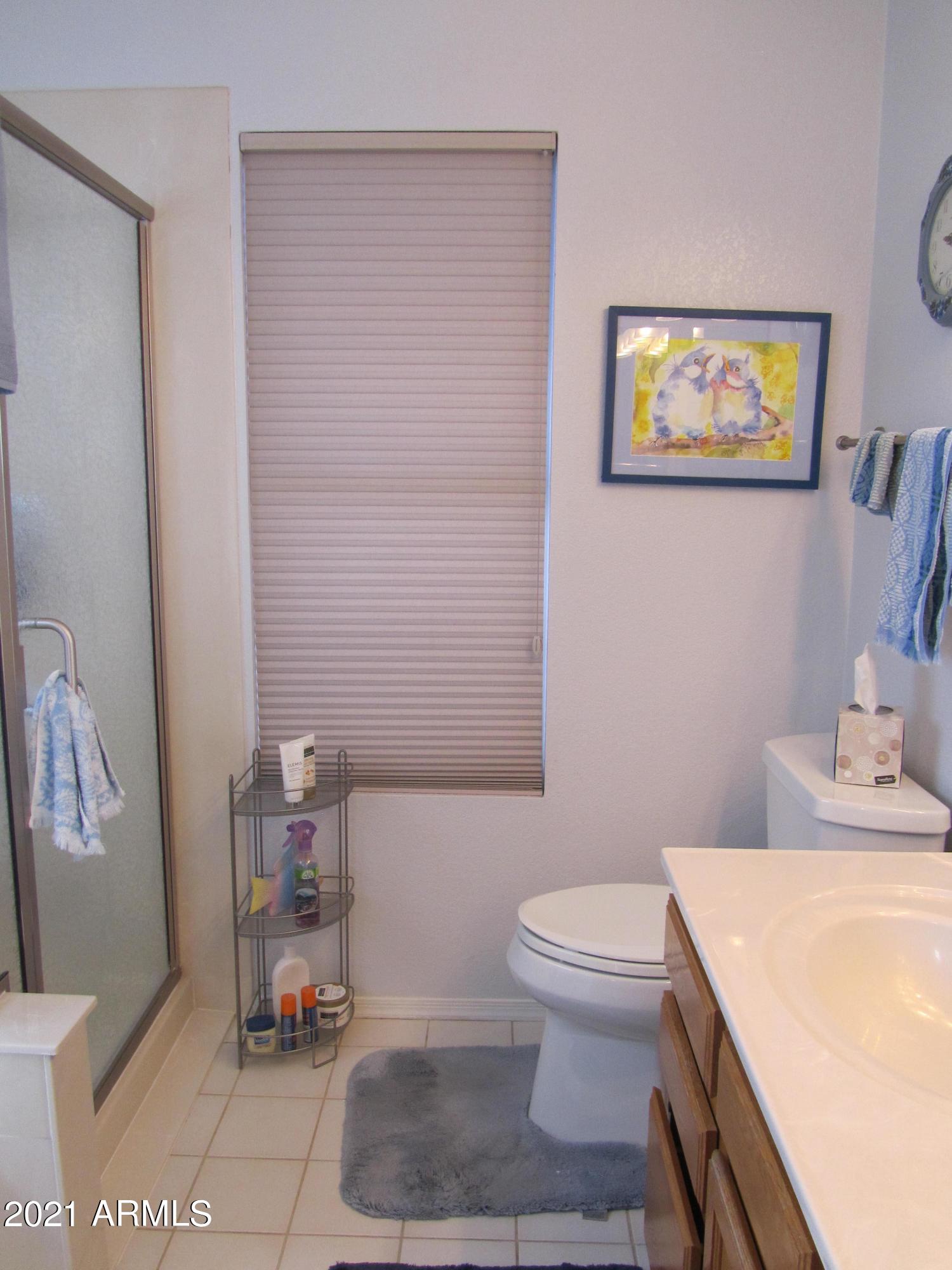1231 East Grandview Road Phoenix, AZ 85022 - Photo 20 of 26 MAIN BATHROOM
