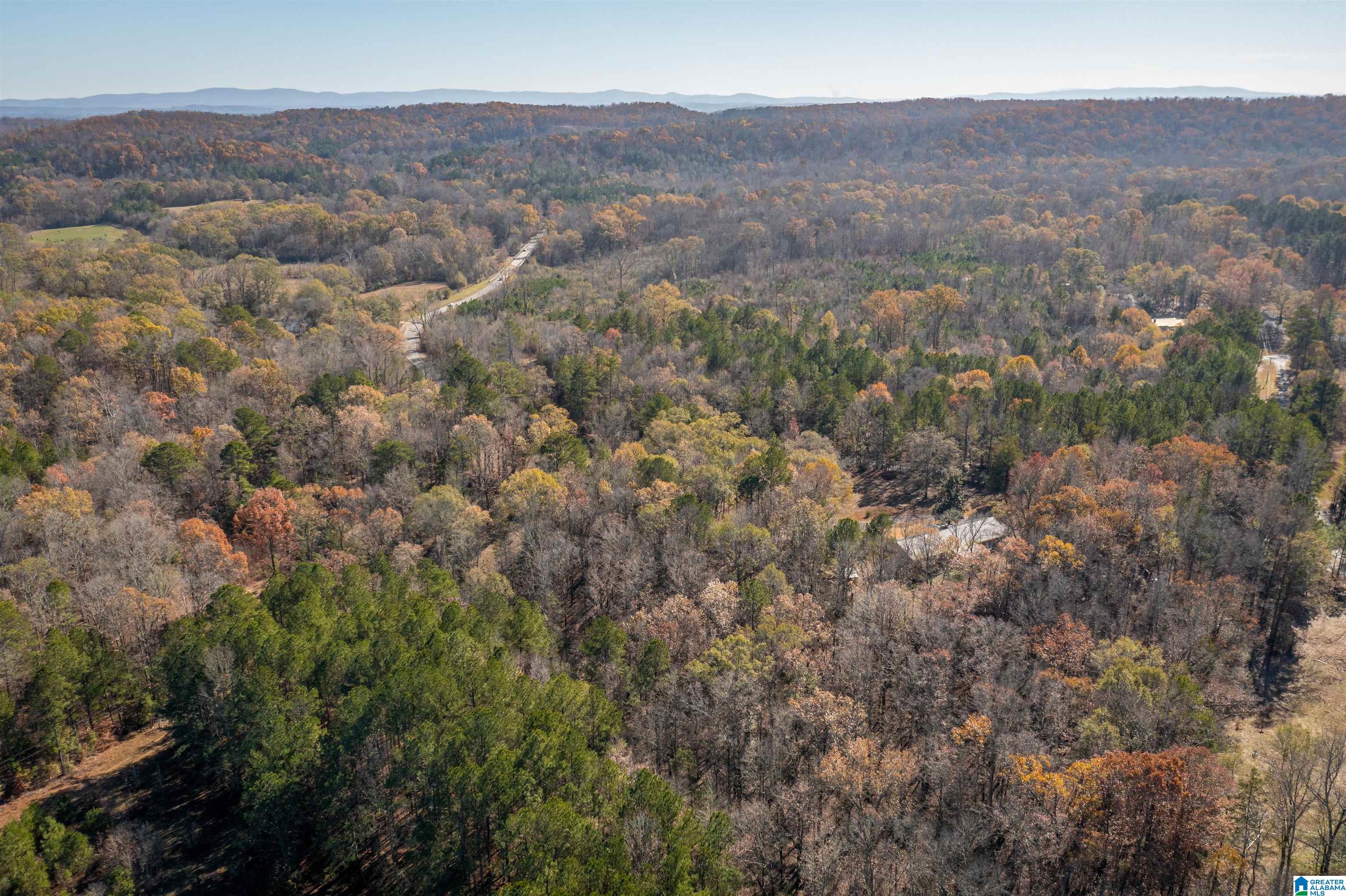 3571 Peeks Hill Road Ohatchee, AL 36271 - Photo 42 of 43
