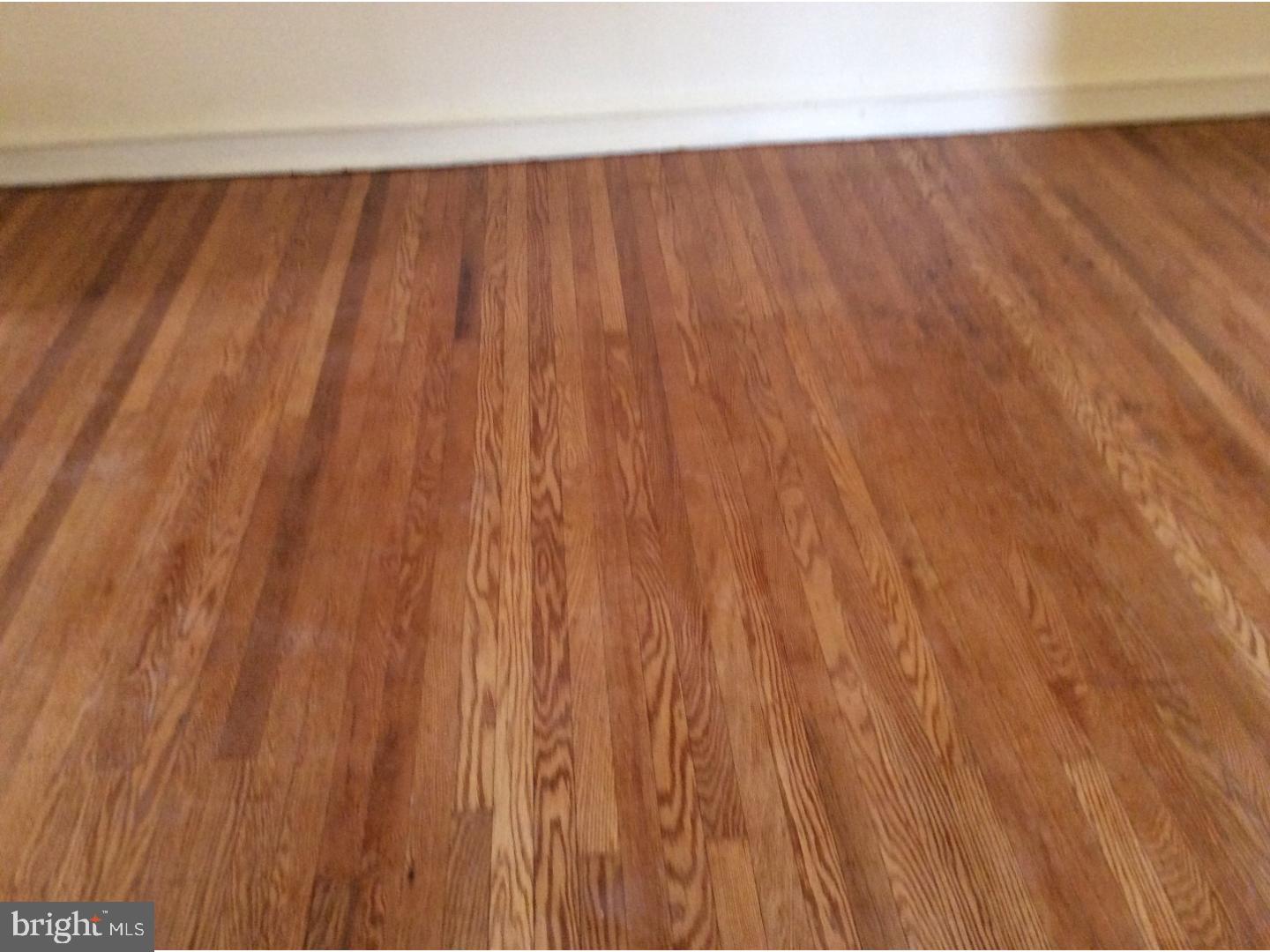 425 Woodcliffe Road Upper Darby, PA 19082 - Photo 6 of 18