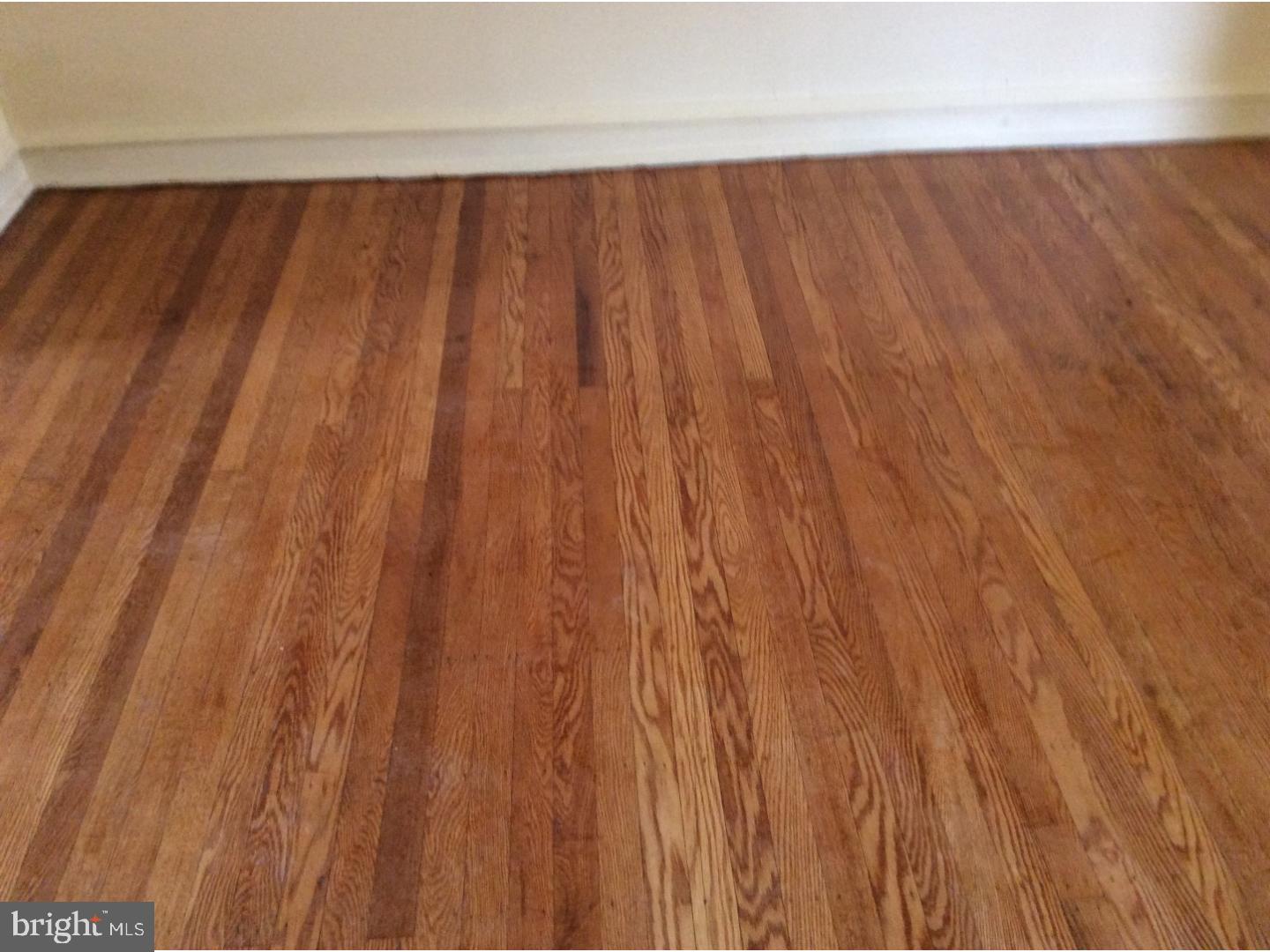 425 Woodcliffe Road Upper Darby, PA 19082 - Photo 7 of 18