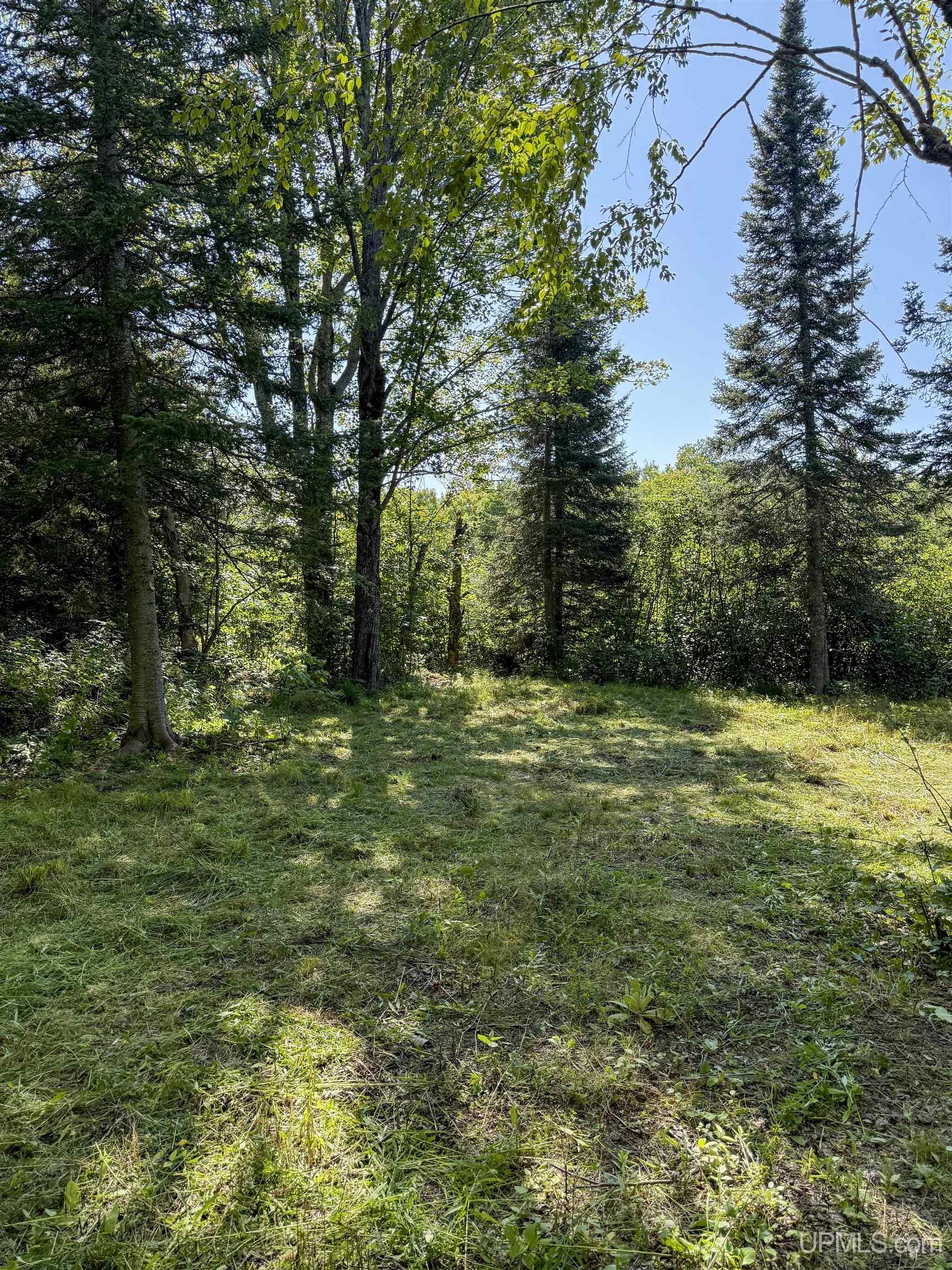 Lot 2 Off Hwy M-64 Road Ontonagon, MI 49953 - Photo 11 of 37