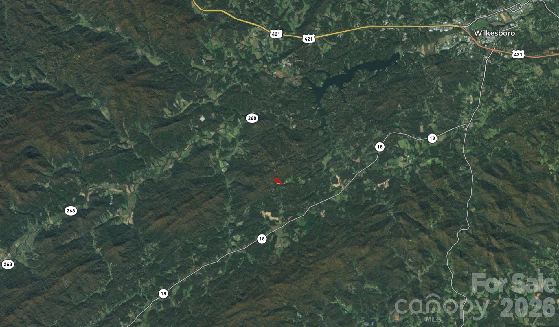 3024 Pearson Mountain Road Boomer, NC 28606 - Photo 11 of 39 Gallery Image 11