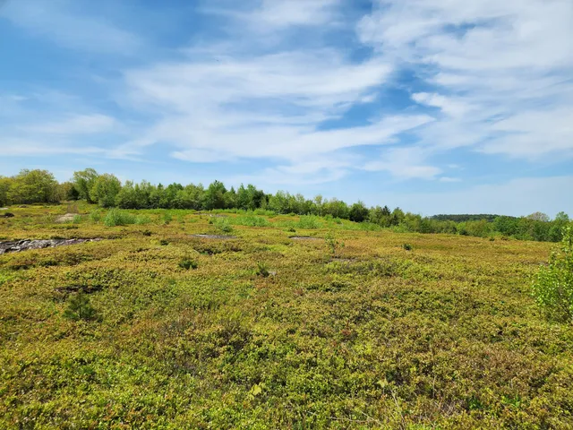 $250,000 | 3 Whispering Berries Hill, Liberty, ME 04949