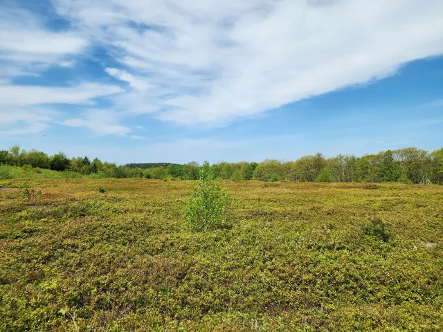 $250,000 | 3 Whispering Berries Hill, Liberty, ME 04949