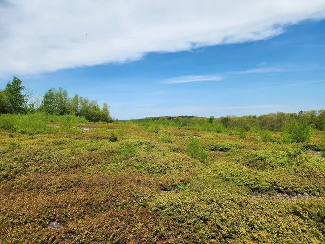 $250,000 | 3 Whispering Berries Hill, Liberty, ME 04949