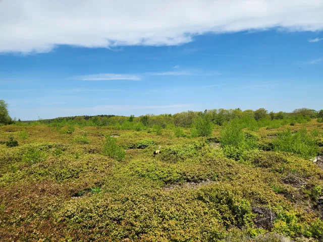 $250,000 | 3 Whispering Berries Hill, Liberty, ME 04949