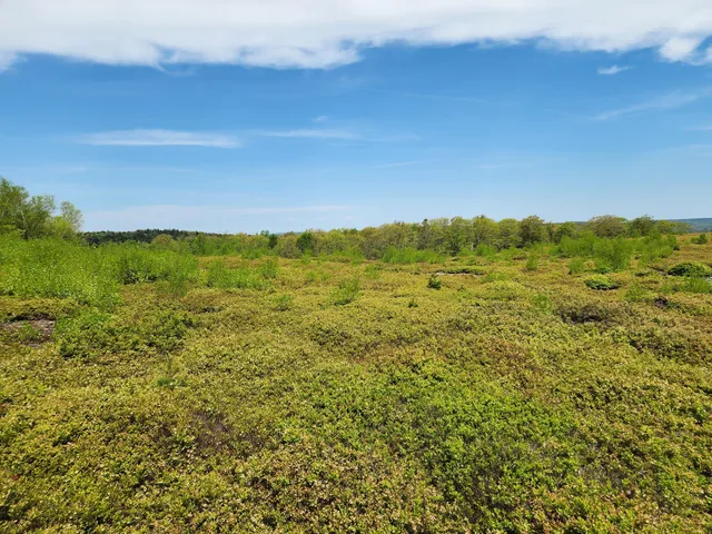 $250,000 | 3 Whispering Berries Hill, Liberty, ME 04949