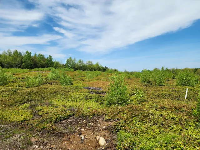 $250,000 | 3 Whispering Berries Hill, Liberty, ME 04949