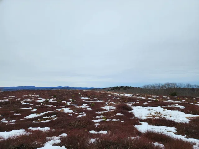 $250,000 | 3 Whispering Berries Hill, Liberty, ME 04949