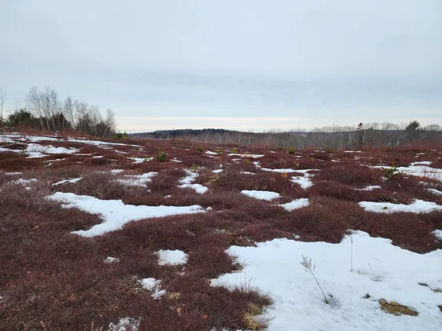 $250,000 | 3 Whispering Berries Hill, Liberty, ME 04949