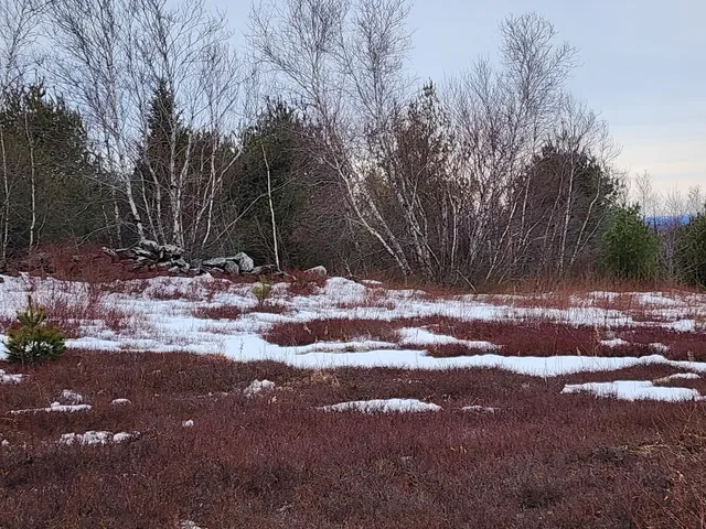 $250,000 | 3 Whispering Berries Hill, Liberty, ME 04949