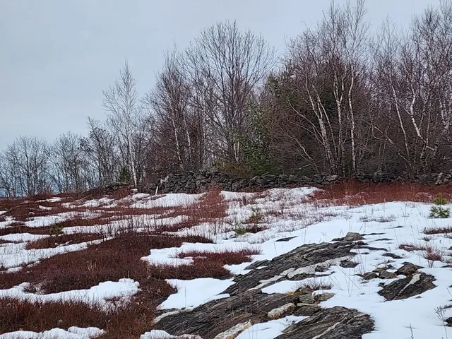 $250,000 | 3 Whispering Berries Hill, Liberty, ME 04949