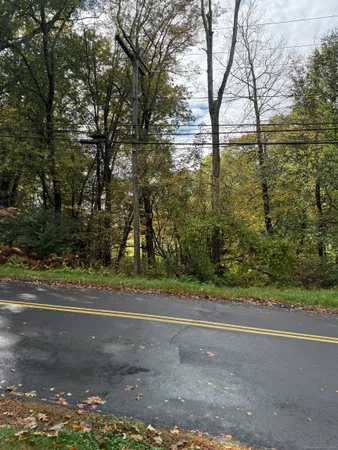 a view of a yard with large trees
