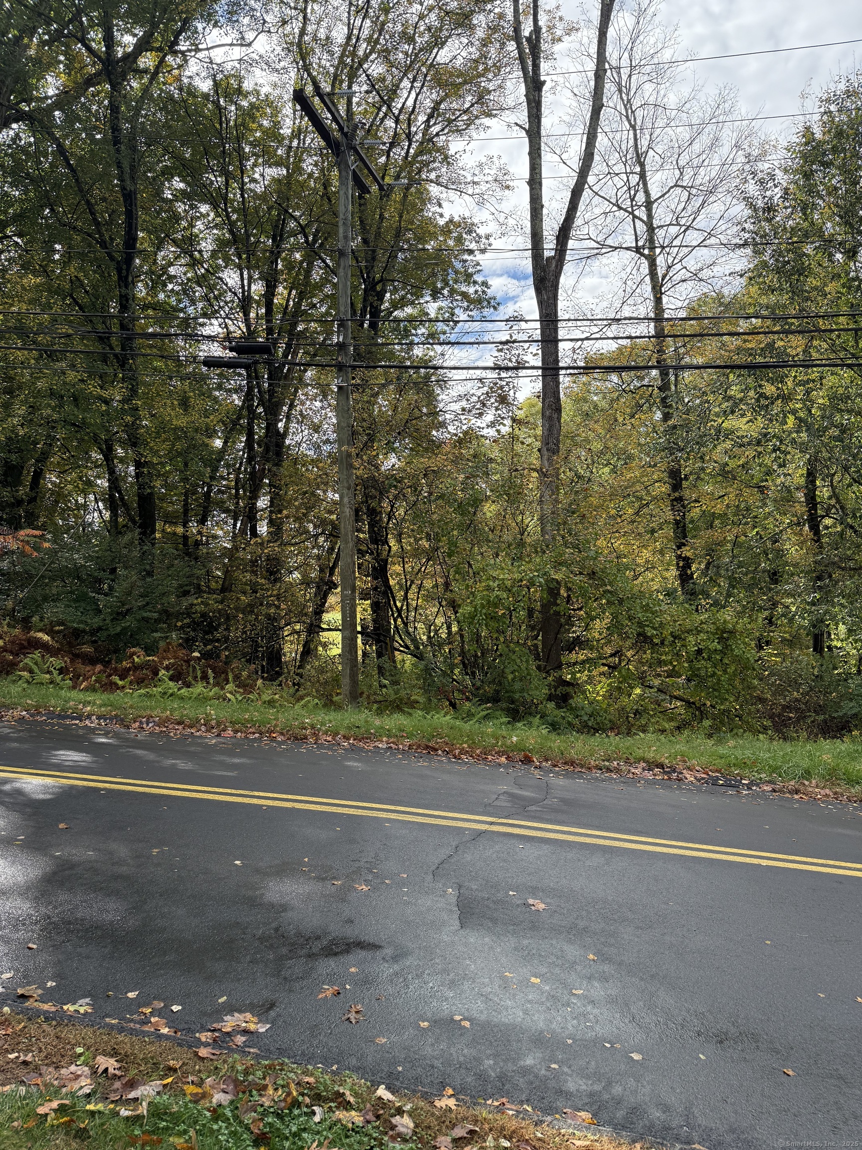 a view of a yard with large trees