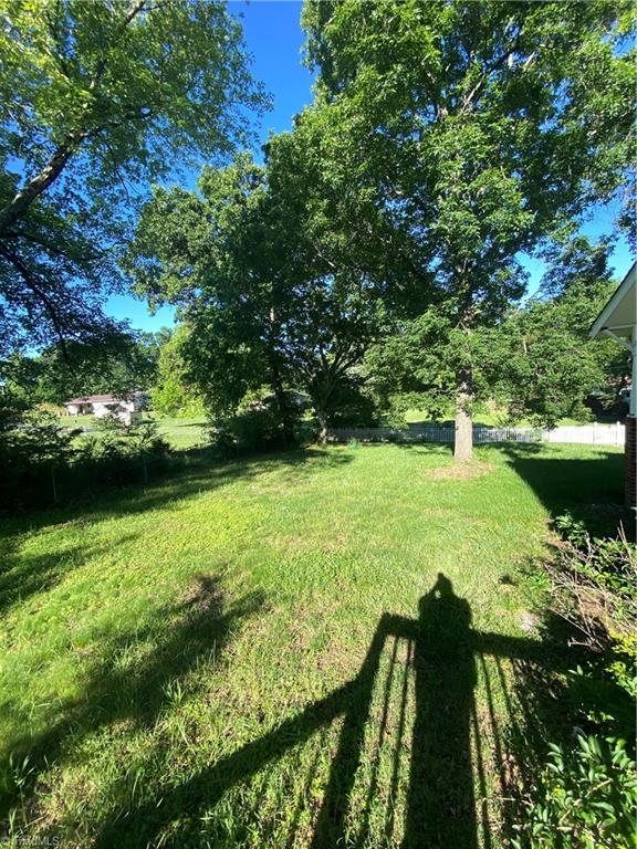 363 Periwinkle Road Eden, NC 27288 - Photo 39 of 39 Side & front yard view