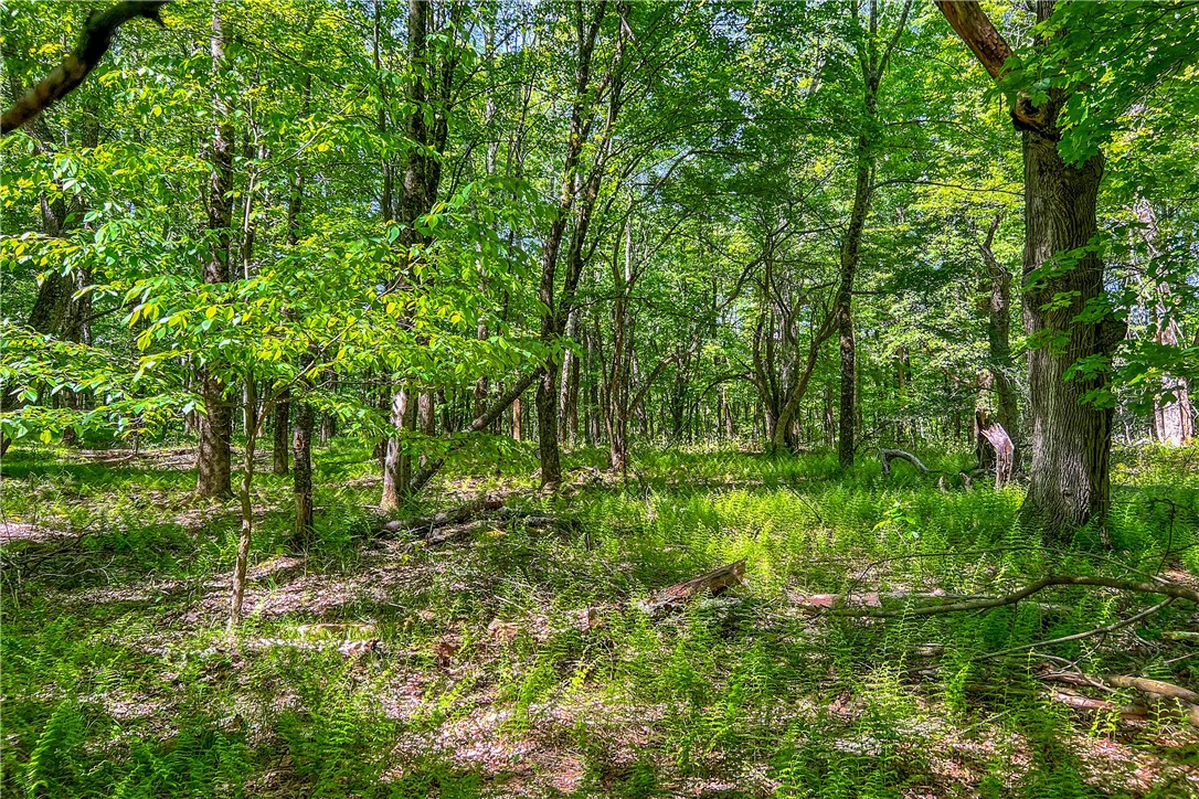 26 Federal Hill Road Delhi, NY 13753 - Photo 22 of 50