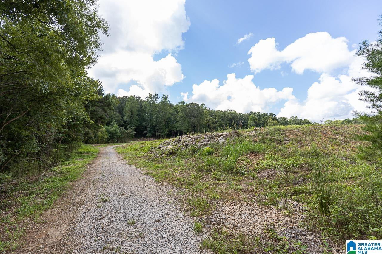 1080 Grants Mill Road Birmingham, AL 35210 - Photo 7 of 11