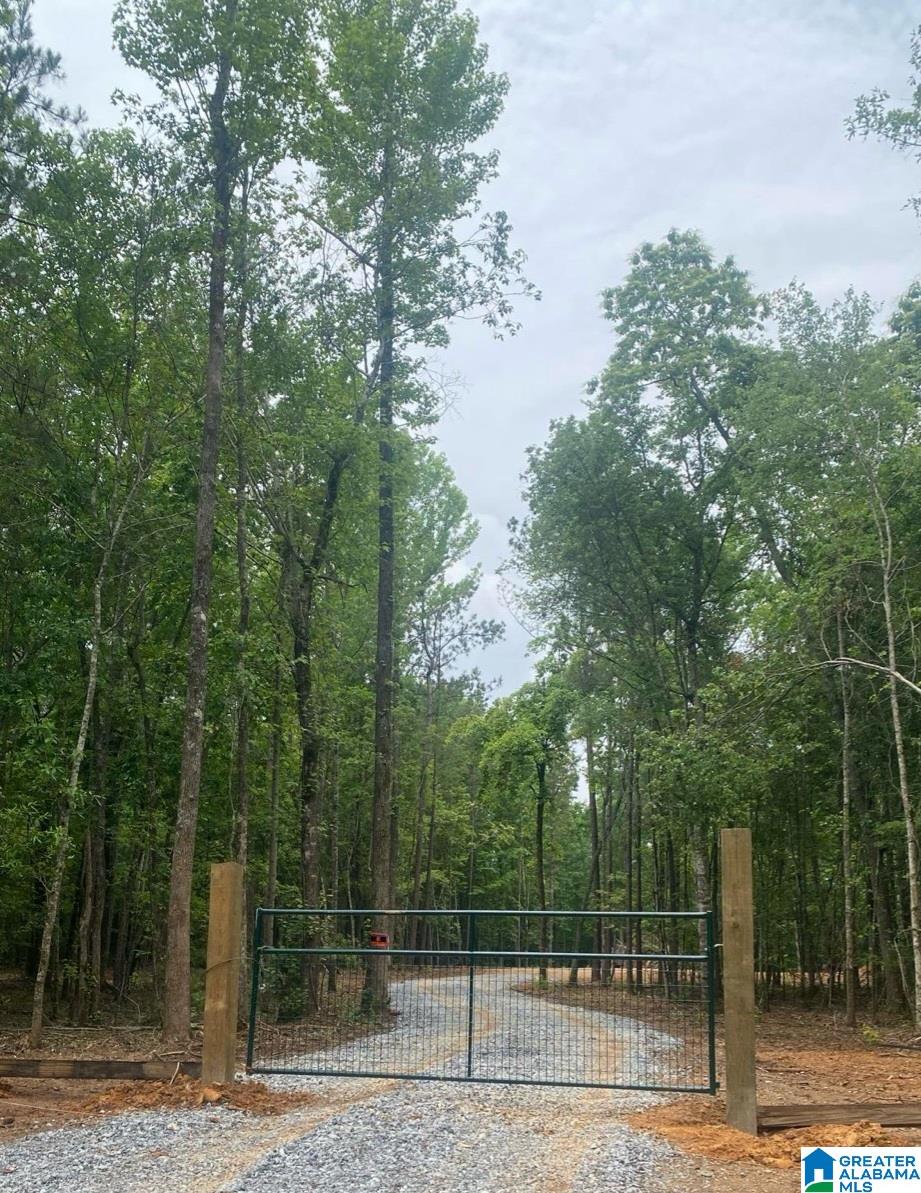6101 Highway 145 Clanton, AL 35046 - Photo 1 of 6