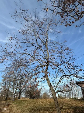 $1 | 6699 South County Road 350 West, Clayton, IN 46118