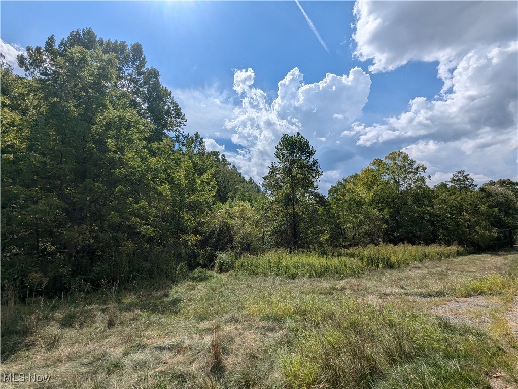 1 County Road Rayland, OH 43943 - Photo 19 of 32 Gallery Image 19