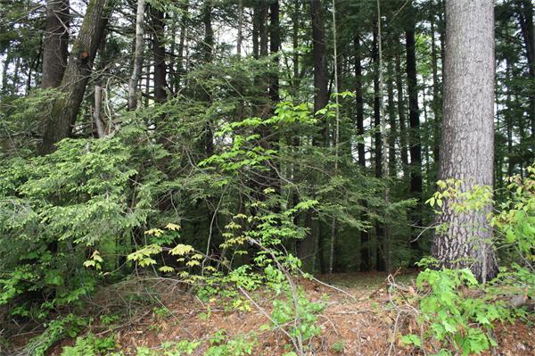 Lot 1 Lampblack Road Greenfield, MA 01301 - Photo 1 of 4 Gallery Image 1