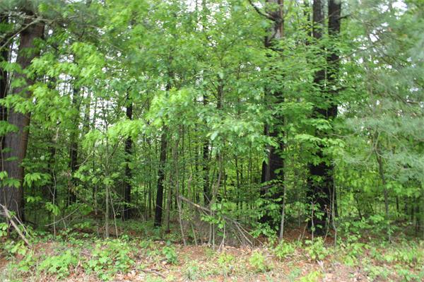 Lot 1 Lampblack Road Greenfield, MA 01301 - Photo 4 of 4 Gallery Image 4