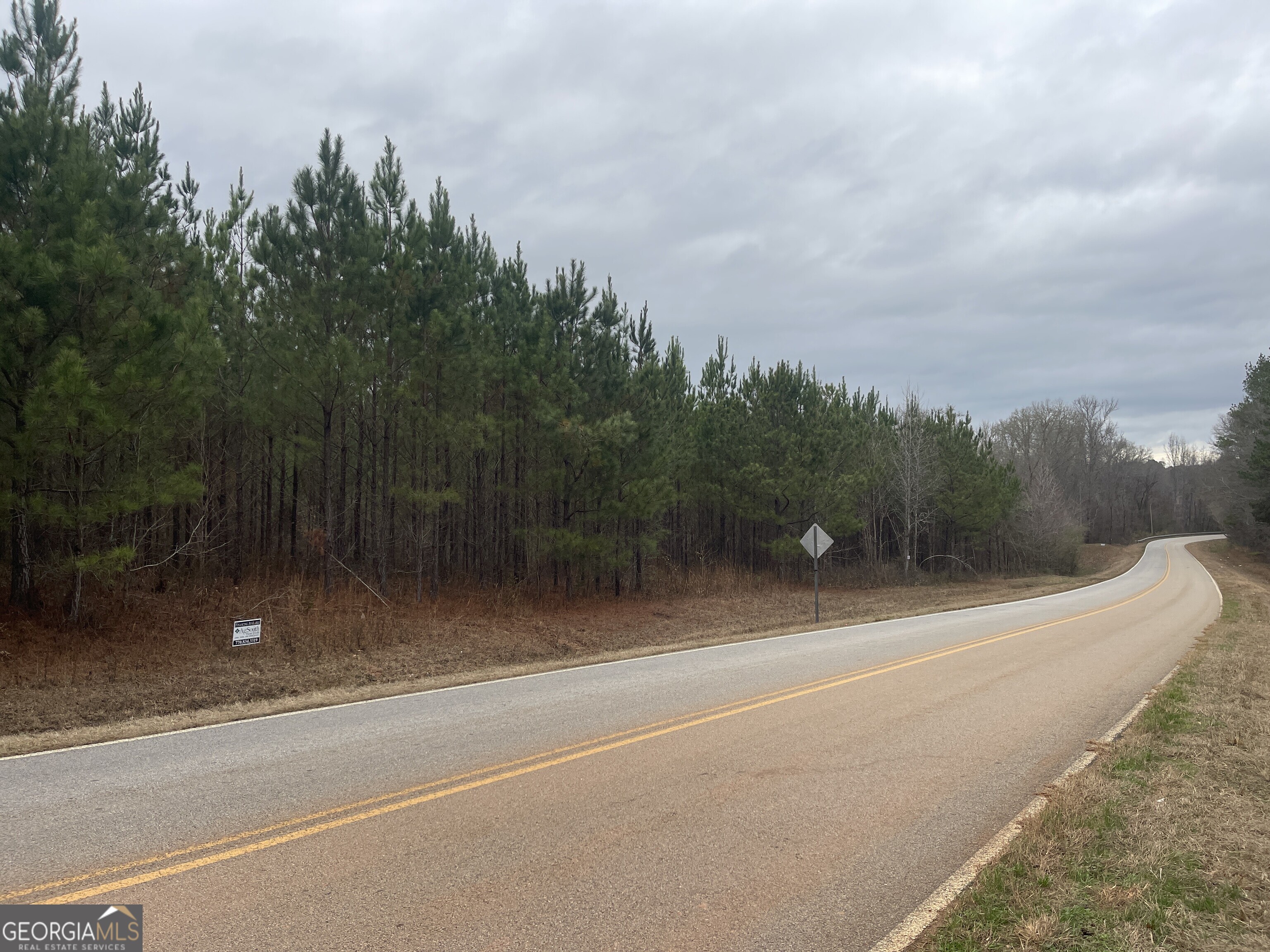 0 Bevis Rd Parcel 1 Franklin, GA 30217 - Photo 3 of 6