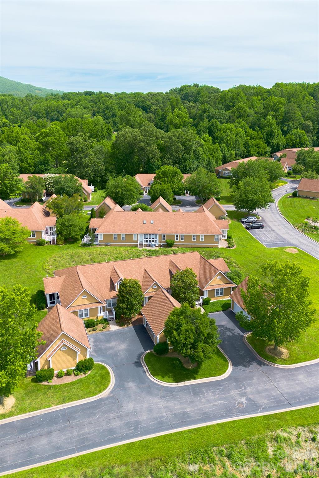 102 Rough Point Court Asheville, NC 28806 - Photo 32 of 38