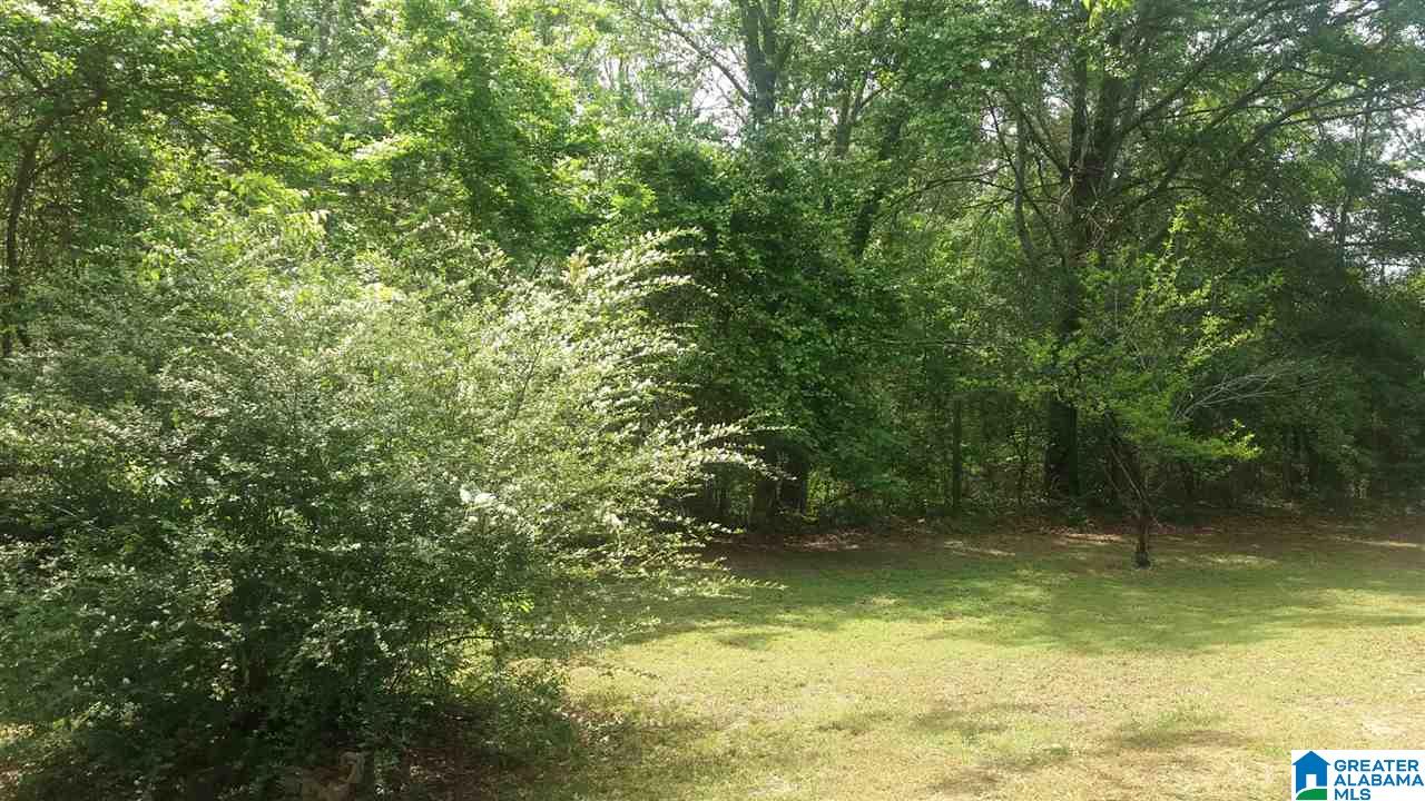 9695 Bankston Road Dora, AL 35062 - Photo 12 of 24