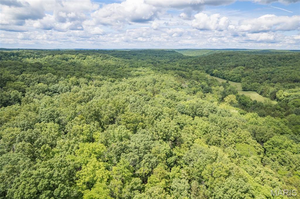 23201 Private Drive Duke, MO 65461 - Photo 22 of 30