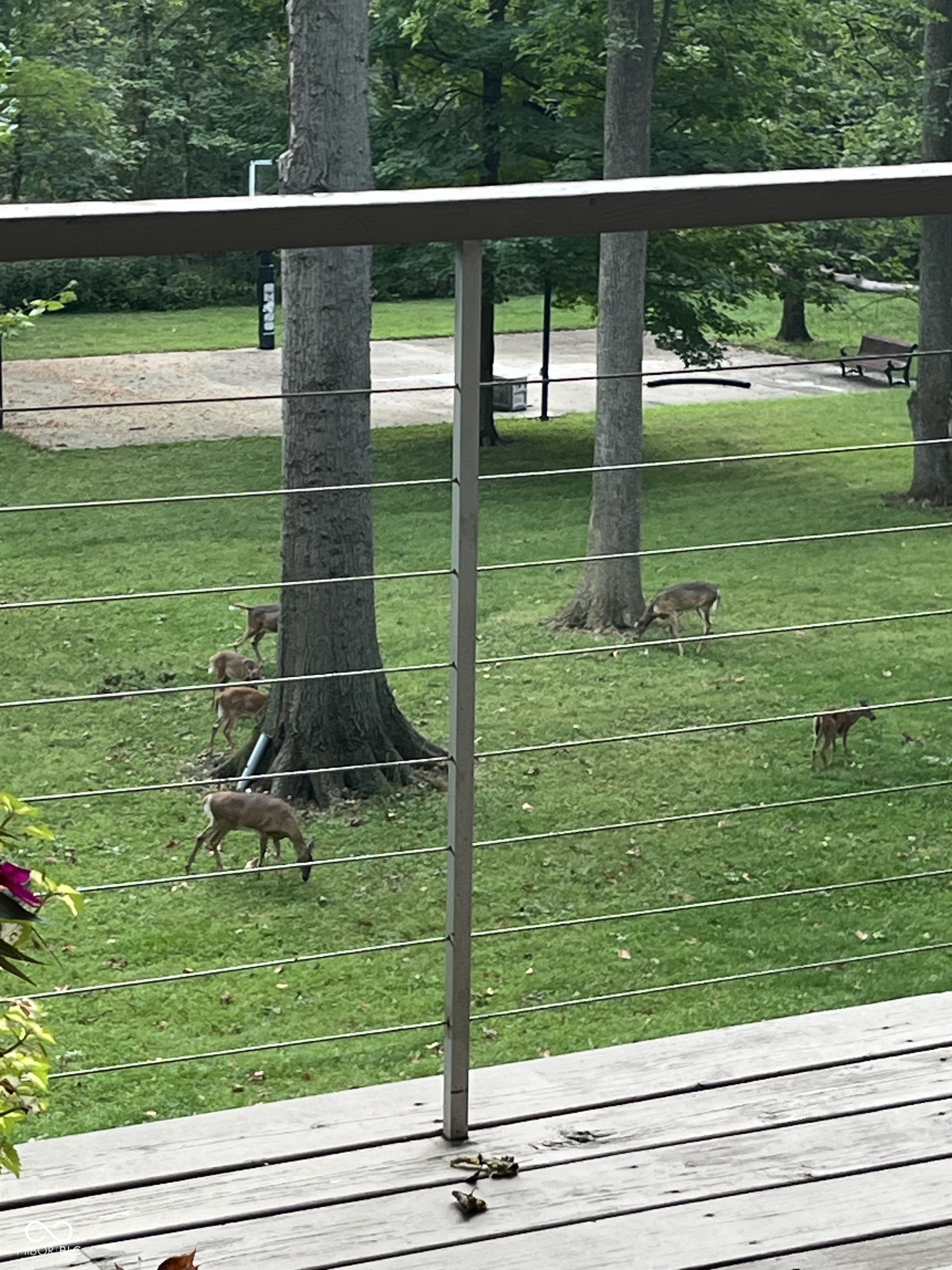 13 Ridgeline Drive Brownsburg, IN 46112 - Photo 91 of 101