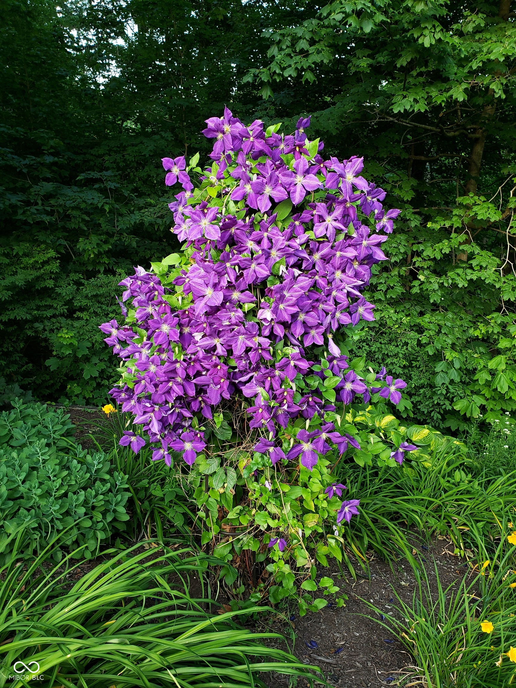 13 Ridgeline Drive Brownsburg, IN 46112 - Photo 93 of 101